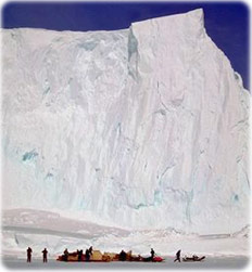 Dogsled
