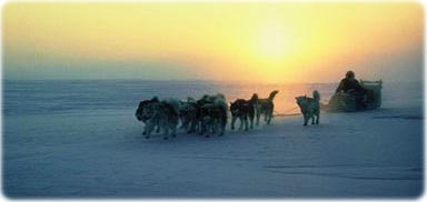 Baffin