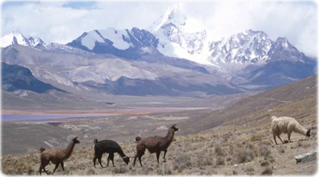 Andes Bolivia
