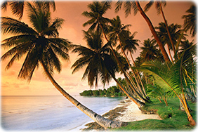Praia Caribe