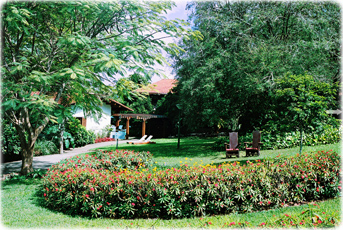 Spas Brasil