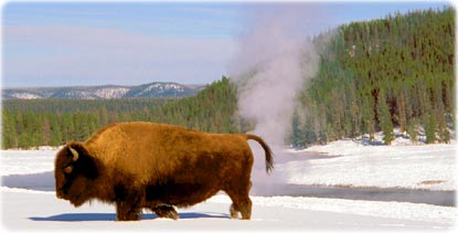 Parque Nacional de Yellowstone