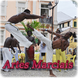 Artes Marciais