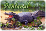 Pantanal