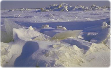Paisagem Artico
