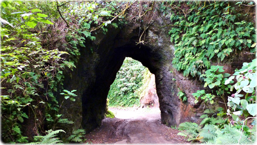 Tunel