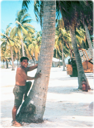 Coqueiros