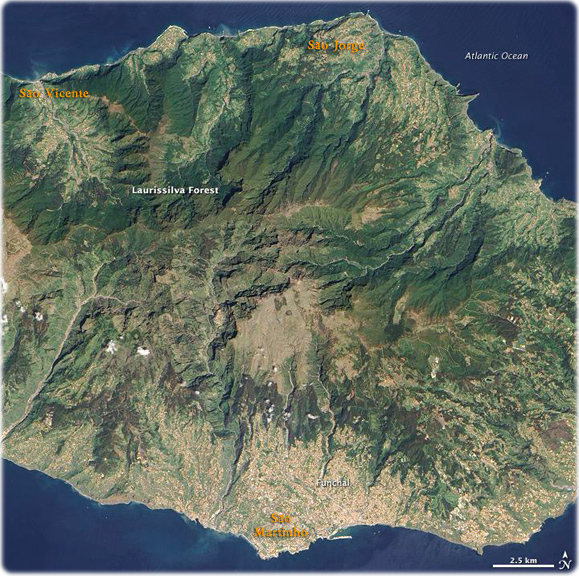 Imagem Madeira
