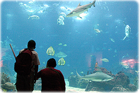 Oceanario
