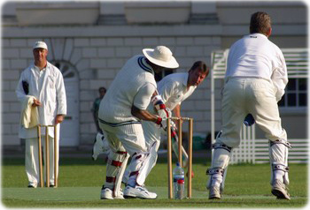 Cricket