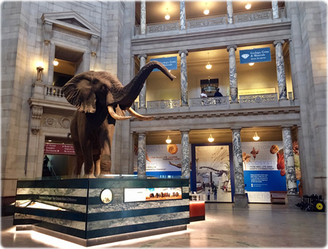 Museu História Natural