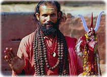 Sacerdote