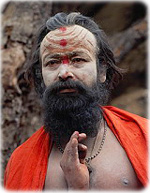 Yogi