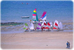 Barcos