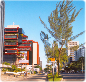Avenida Tancredo Neves