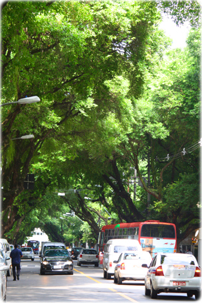 Corredor Vitoria