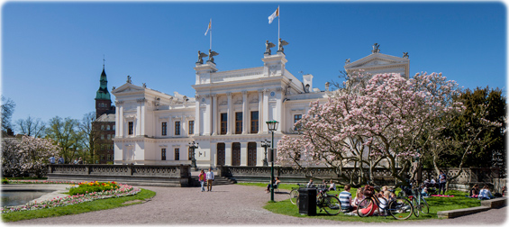 Universidade Suecia